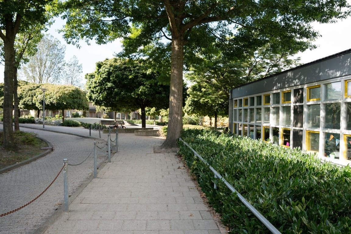 De Terp (hoofdgebouw) foto 4