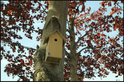 Klein is Groot foto 8