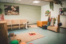 KDV & POV Partou Fluitenkruid 6 foto 5