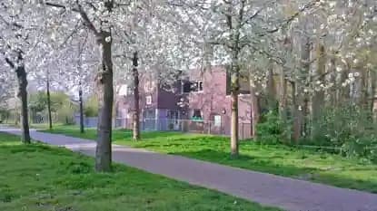 Villa De Boomhut foto 8