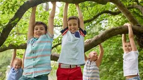 Villa De Boomhut foto 9