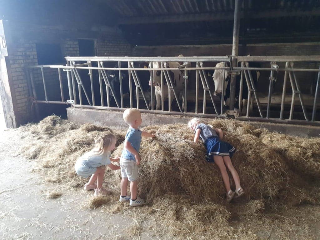 Berneopfang de Keallepôle