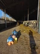 Berneopfang de Keallepôle 2