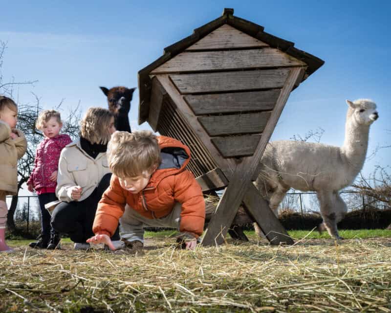 Kids voor Kinderen foto 5