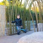 Kinderdagverblijf De Springplank 3