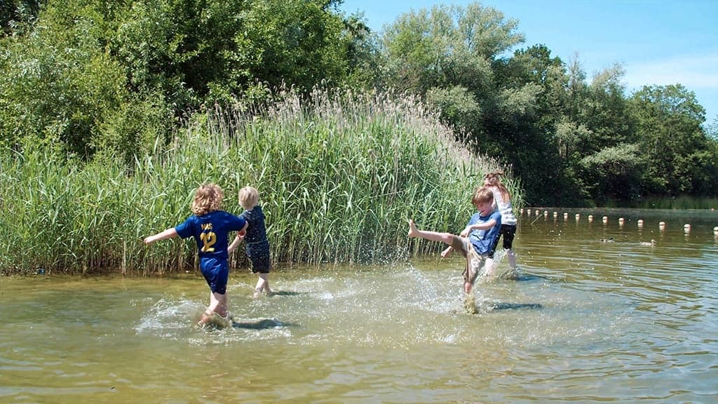 Zonnelicht aan de Oosterplas 3