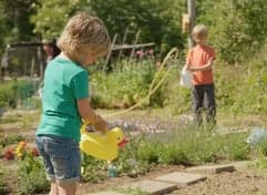 Zonnelicht aan de Oosterplas foto 8