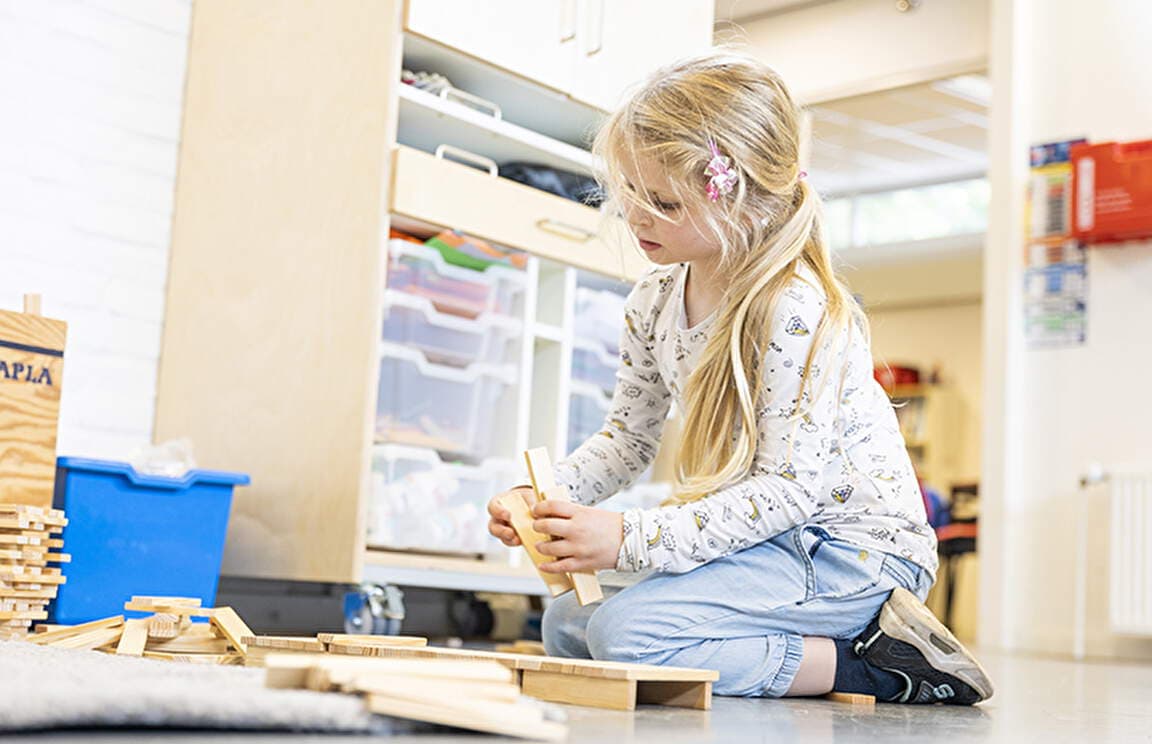 BSO Villa Op stelten foto 7