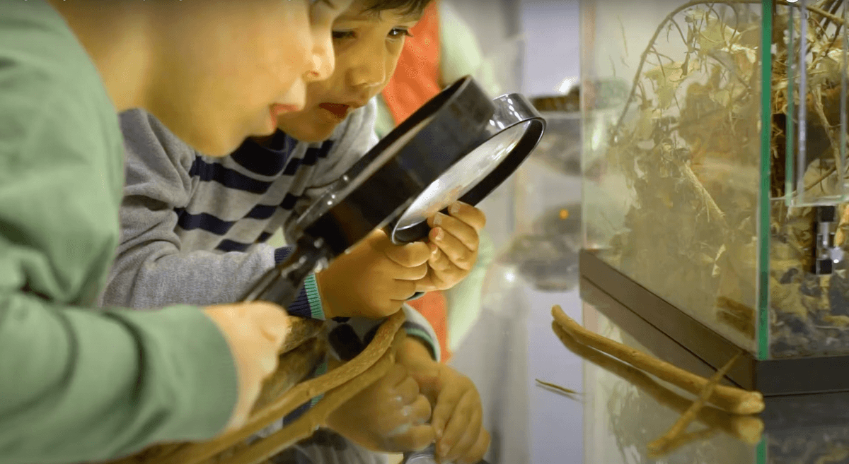 Eigenwijze Kinderopvang foto 10