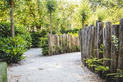 Burgemeester Roeringlaan foto 9