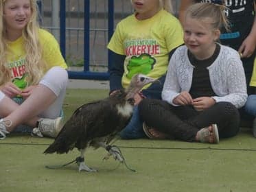 't Kickertje, Achterdijkshoorn foto 7