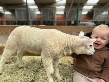 Ole & Cato B.V. foto 6