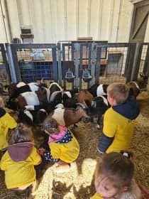 Buitenschoolse opvang `t Kluffie 2