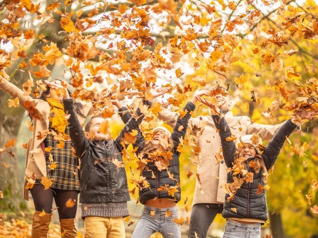 IKC de Wingerd 0 - 4 jr