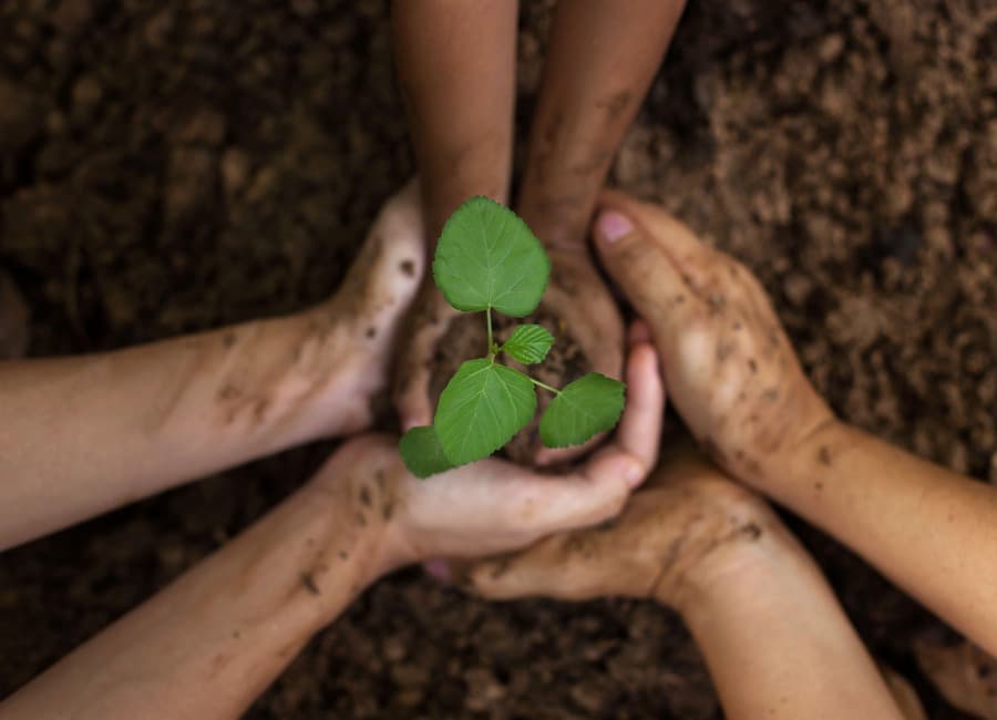 IKC de Wingerd 0 - 4 jr 2