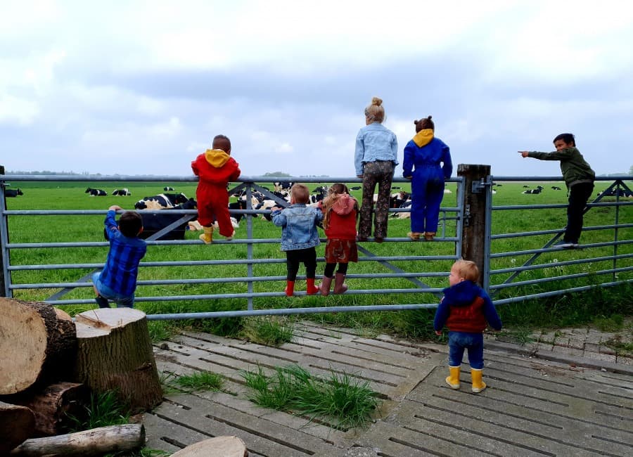 IKC de Wingerd 0 - 4 jr foto 7