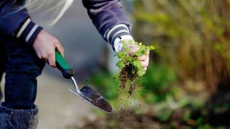 BSO Avonturijn foto 8