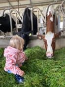 De Ark kinderopvang op de boerderij foto 4