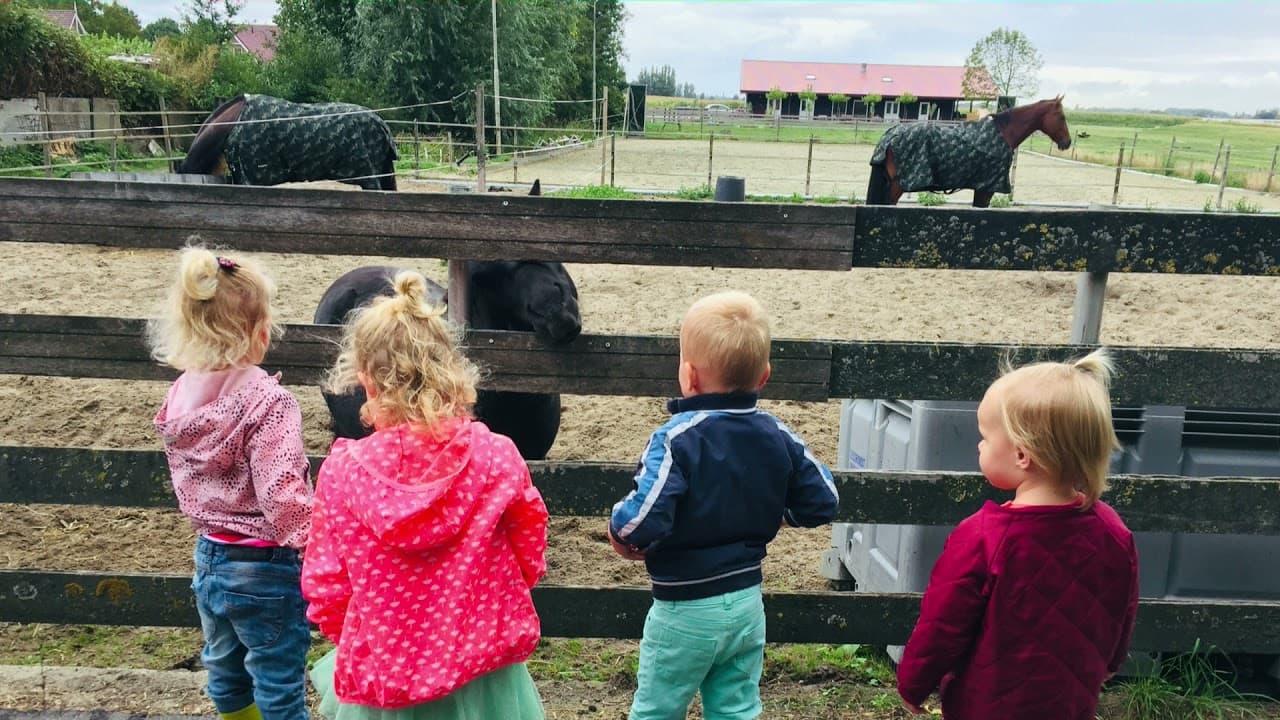 De Ark kinderopvang op de boerderij foto 5