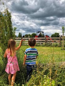 De Ark kinderopvang op de boerderij foto 8