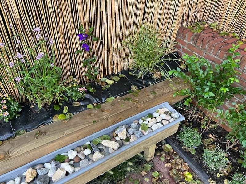 KDV IKC Cadans Berkel foto 5