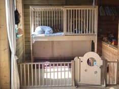 BSO Christophorus foto 4