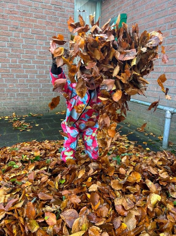 Kinderopvang Dapper locatie Brummelbos foto 7