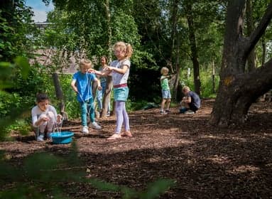 Popeye in De Meridiaan