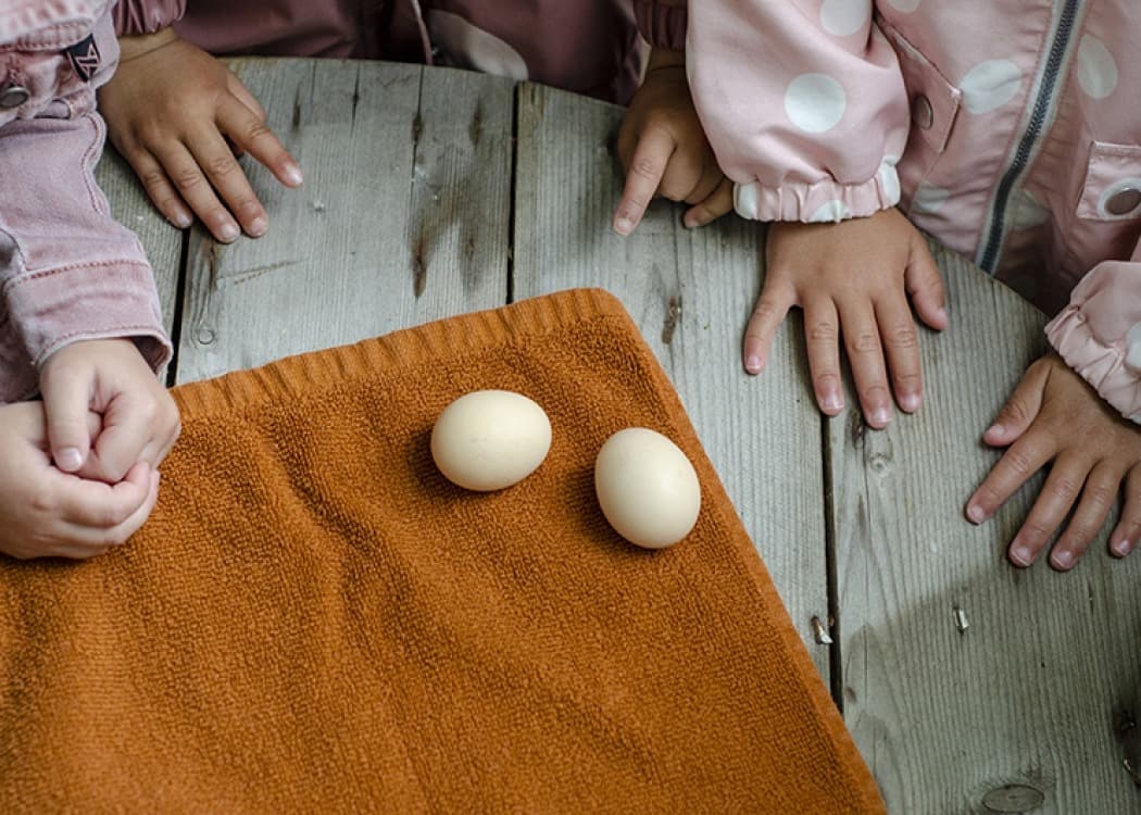 De Aquamarijn Peutergroep Madelief foto 4