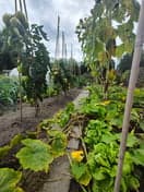 de Avonturier foto 6