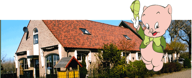 Zo bij Knorretje foto 5