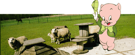 Zo bij Knorretje foto 6