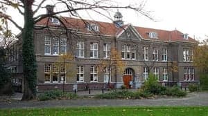 Stichting het Uilenest - Sneeuwuiltjes