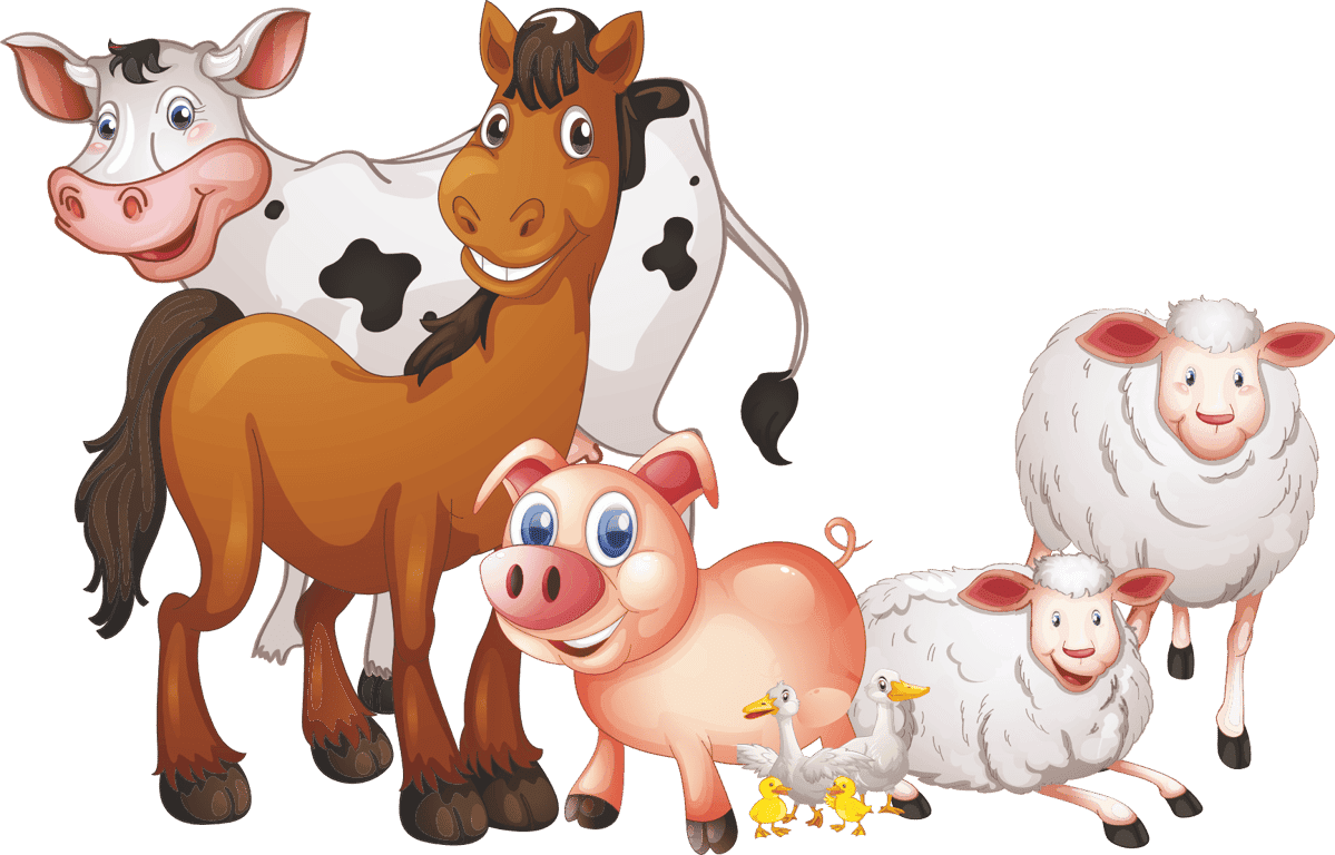 Agrarische kinderopvang De Maashoeve foto 4