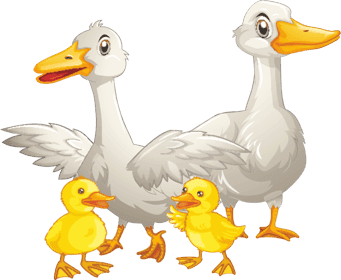 Agrarische kinderopvang De Maashoeve foto 5