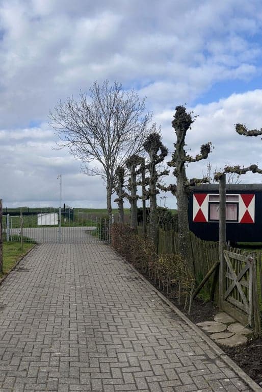 Kinderopvang Den Oesterdam foto 4