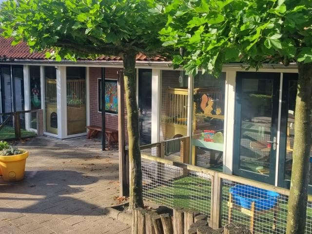 Basker - Leeuwenstein 3