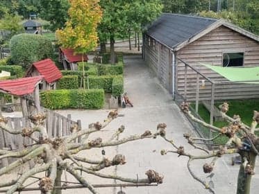 Basker - Leeuwenstein foto 4