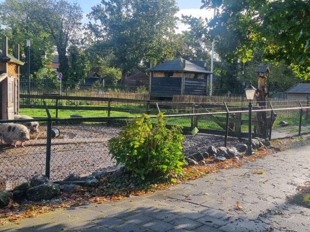 Basker - Leeuwenstein foto 5