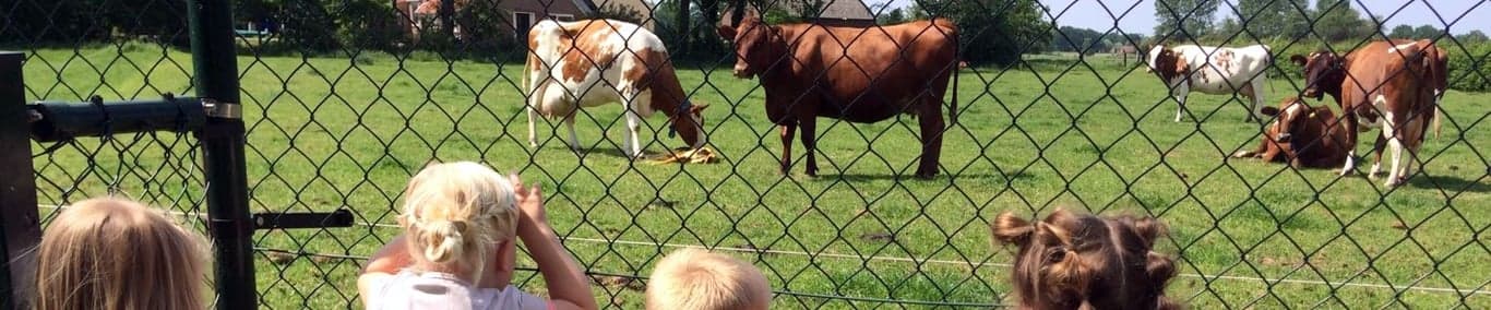 Agrarische Kinderopvang KiekdeKoe 3