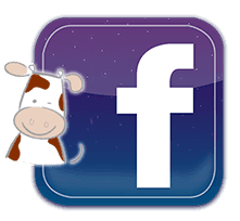 Agrarische Kinderopvang KiekdeKoe foto 7