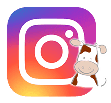 Agrarische Kinderopvang KiekdeKoe foto 8