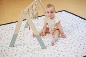 Kindercentrum de Springplank foto 6