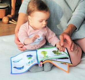 Prokino Imme Apenstaart KDV 2