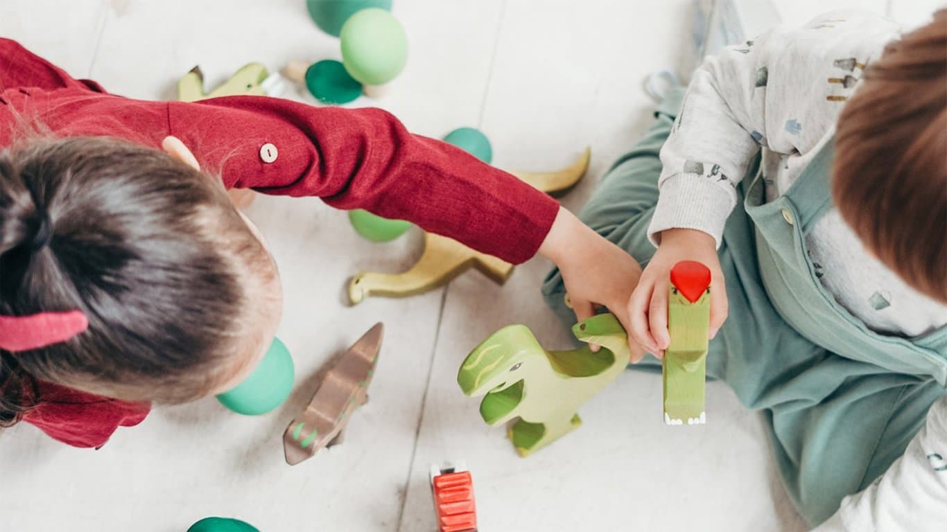 Prokino Imme Apenstaart KDV 3