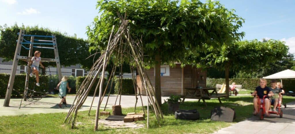 Doomijn BSO Osseweide 3