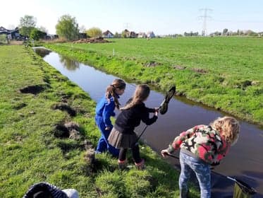 De Stadshoeve foto 4