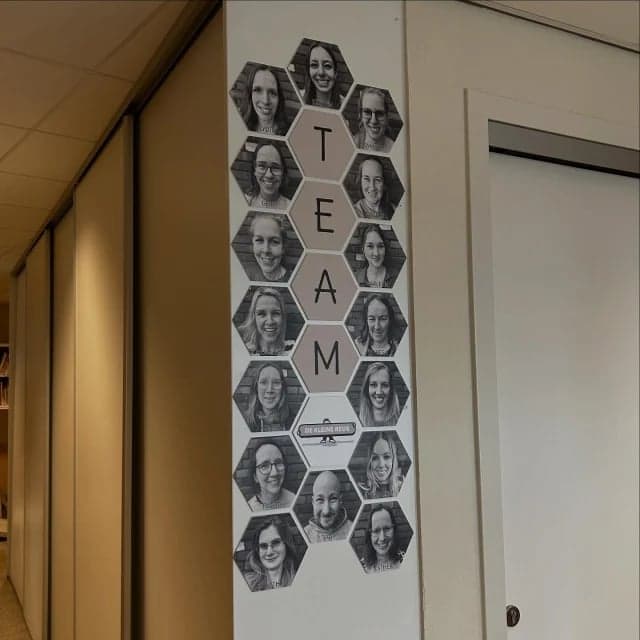 BSO De Kleine Reus foto 4