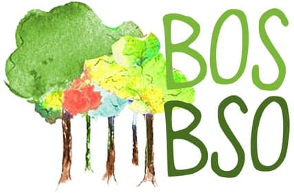 Bos-BSO 2