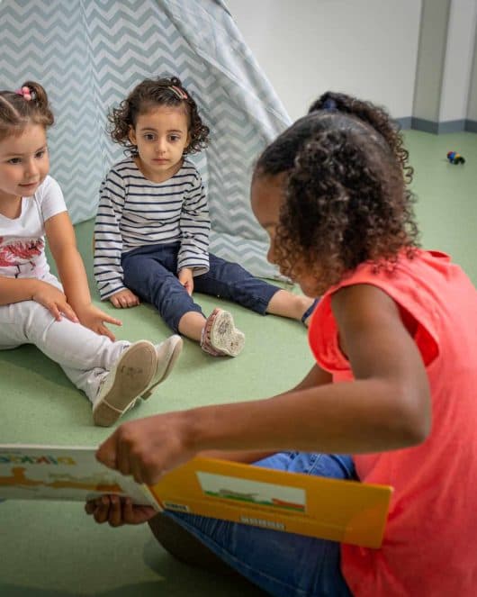 't Hobbelpaard foto 6